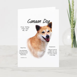 Canaan Dog History Design Holiday Card