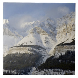 Canada, Alberta, Banff National Park. View of Ceramic Tile