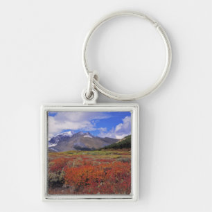 Canada, Alberta, Banff NP. Huckleberries bloom Key Ring