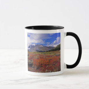 Canada, Alberta, Banff NP. Huckleberries bloom Mug