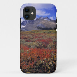 Canada, Alberta, Banff NP. Huckleberries provide iPhone 11 Case