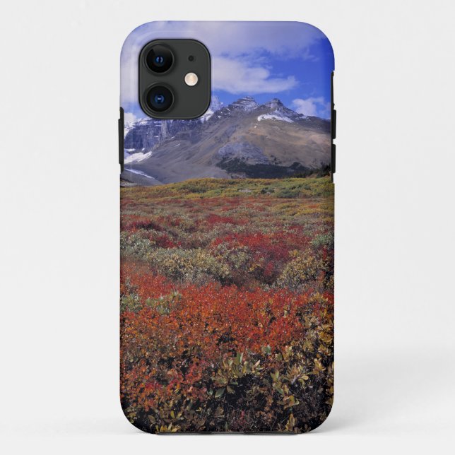 Canada, Alberta, Banff NP. Huckleberries provide Case-Mate iPhone Case (Back)