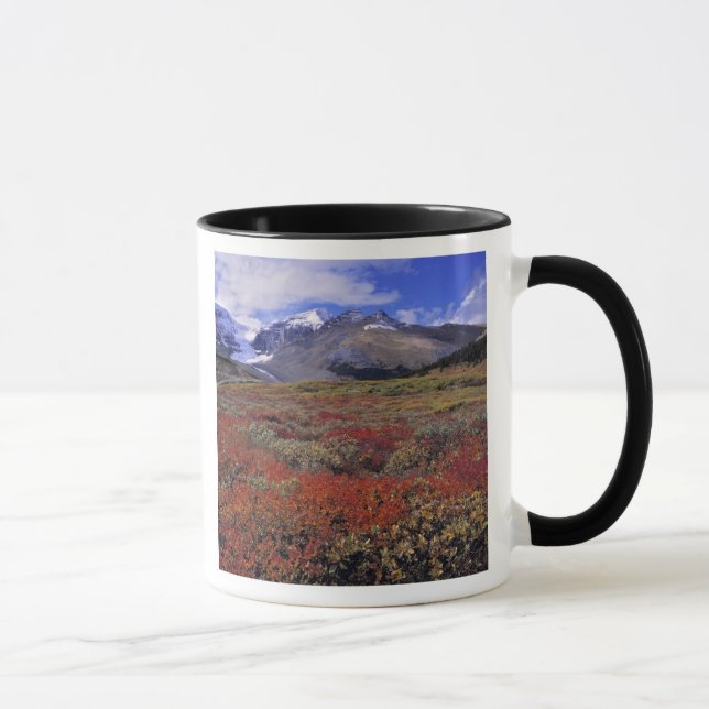Canada, Alberta, Banff NP. Huckleberries provide Mug (Right)