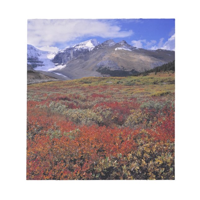 Canada, Alberta, Banff NP. Huckleberries provide Notepad (Front)