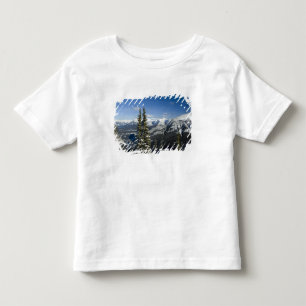 Canada, Alberta, Banff. Views of the Bow Valley Toddler T-Shirt
