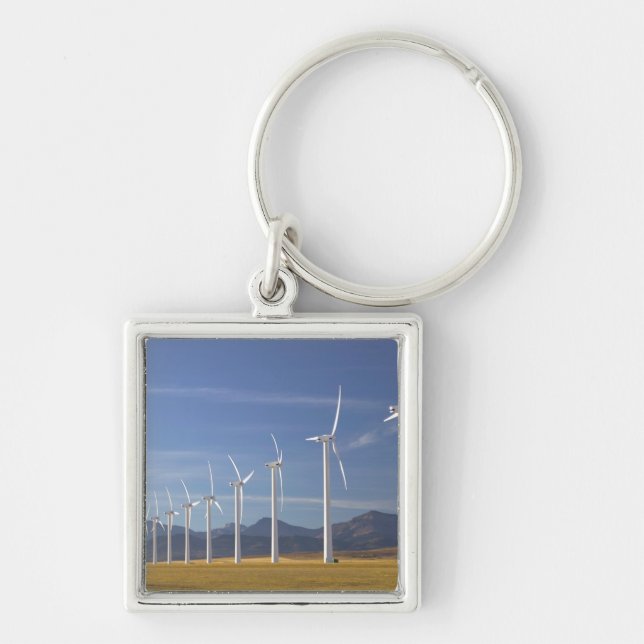 Canada, Alberta, Crowsnest Pass Area: Cowley Key Ring (Front)
