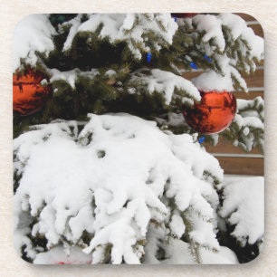 Canada, Alberta, Jasper, Jasper NP. Fairmont 2 Coaster