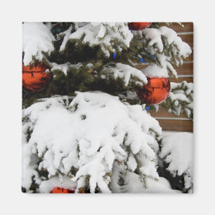 Canada, Alberta, Jasper, Jasper NP. Fairmont 2 Magnet