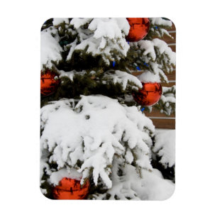 Canada, Alberta, Jasper, Jasper NP. Fairmont 2 Magnet