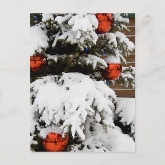 Canada, Alberta, Jasper, Jasper NP. Fairmont 2 Postcard (Front)