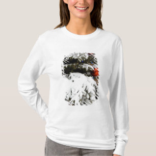 Canada, Alberta, Jasper, Jasper NP. Fairmont 2 T-Shirt