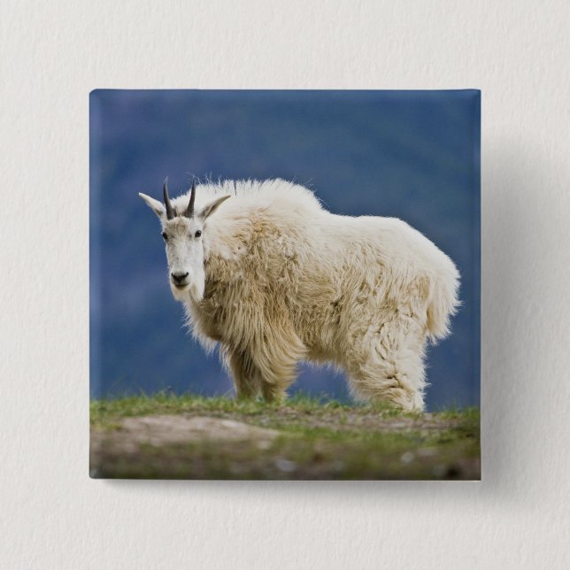 Canada, Alberta, Jasper National Park, 15 Cm Square Badge (Front)