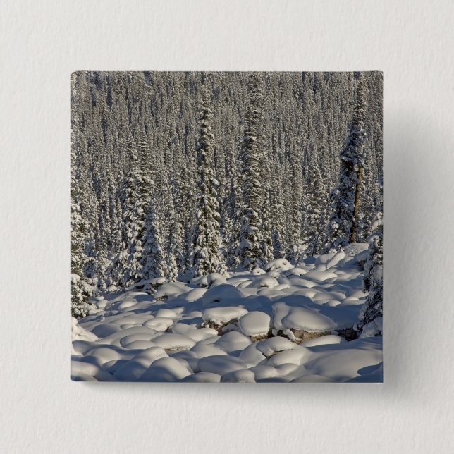 Canada, Alberta, Jasper National Park. 15 Cm Square Badge (Front)