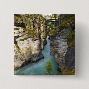 Canada, Alberta, Jasper National Park, Athabasca 2 15 Cm Square Badge
