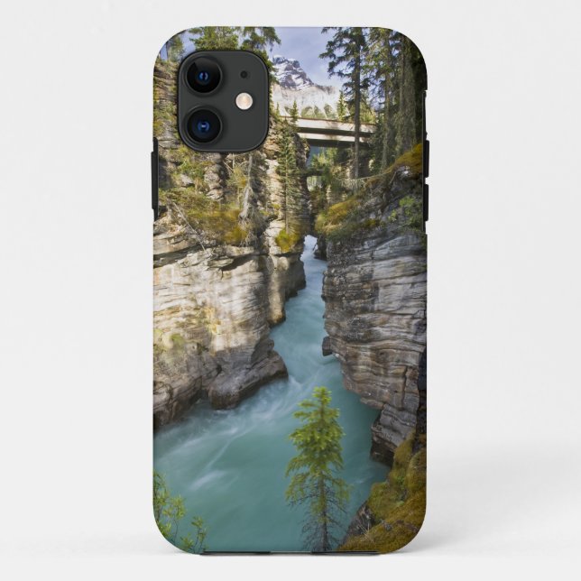 Canada, Alberta, Jasper National Park, Athabasca 2 Case-Mate iPhone Case (Back)