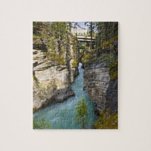 Canada, Alberta, Jasper National Park, Athabasca 2 Jigsaw Puzzle