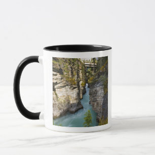 Canada, Alberta, Jasper National Park, Athabasca 2 Mug