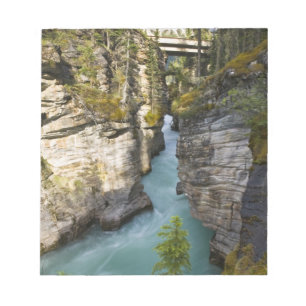 Canada, Alberta, Jasper National Park, Athabasca 2 Notepad