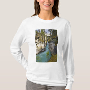 Canada, Alberta, Jasper National Park, Athabasca 2 T-Shirt