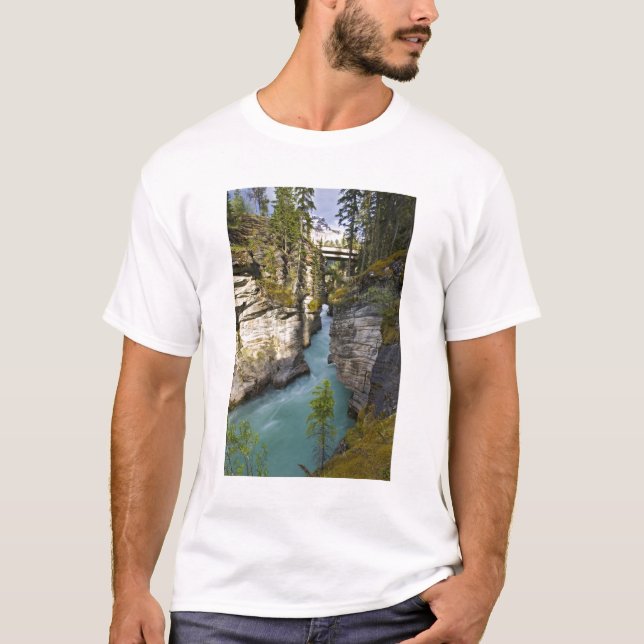 Canada, Alberta, Jasper National Park, Athabasca 2 T-Shirt (Front)