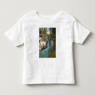 Canada, Alberta, Jasper National Park, Athabasca 2 Toddler T-Shirt