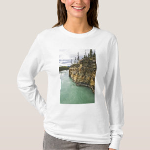 Canada, Alberta, Jasper National Park, Athabasca T-Shirt