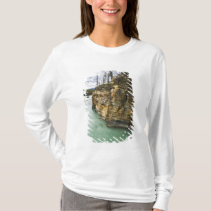 Canada, Alberta, Jasper National Park, Athabasca T-Shirt