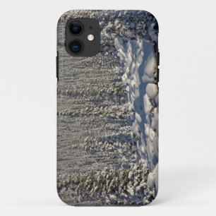 Canada, Alberta, Jasper National Park. iPhone 11 Case
