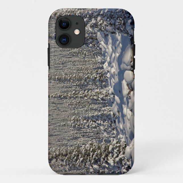 Canada, Alberta, Jasper National Park. Case-Mate iPhone Case (Back)