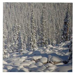 Canada, Alberta, Jasper National Park. Ceramic Tile