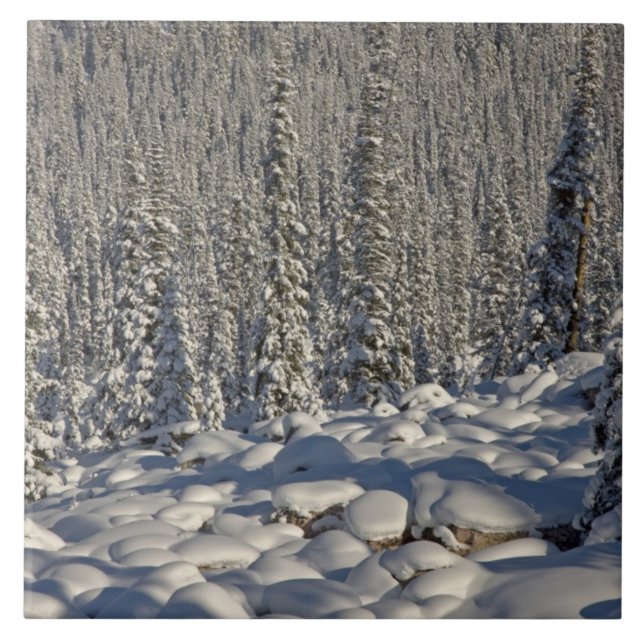 Canada, Alberta, Jasper National Park. Ceramic Tile (Front)