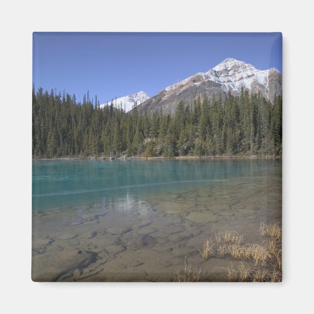 Canada, Alberta, Jasper National Park: JASPER, Magnet (Front)