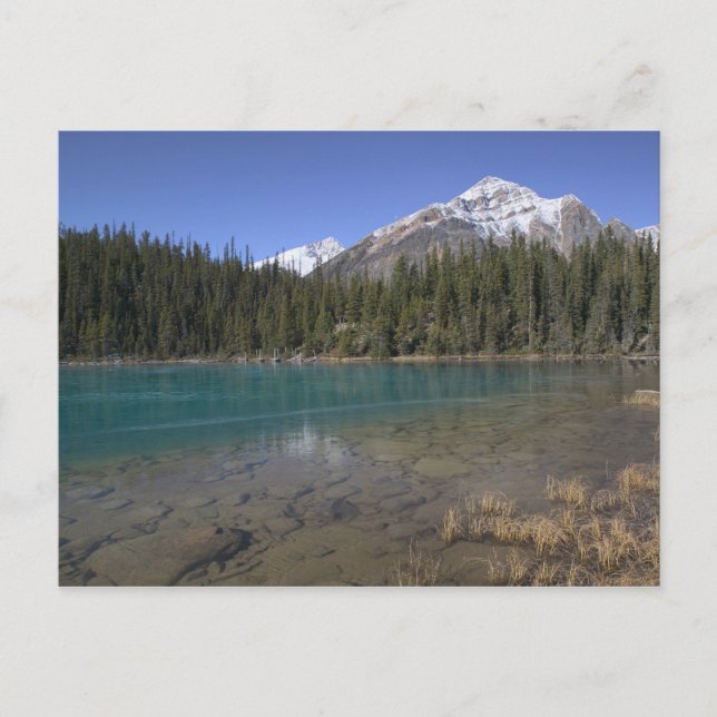 Canada, Alberta, Jasper National Park: JASPER, Postcard (Front)