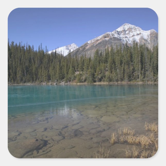 Canada, Alberta, Jasper National Park: JASPER, Square Sticker (Front)