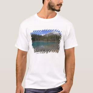 Canada, Alberta, Jasper National Park: JASPER, T-Shirt