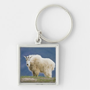 Canada, Alberta, Jasper National Park, Key Ring