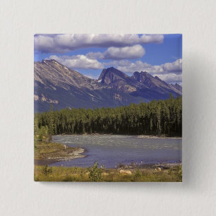 Canada, Alberta, Jasper National Park. Large 15 Cm Square Badge