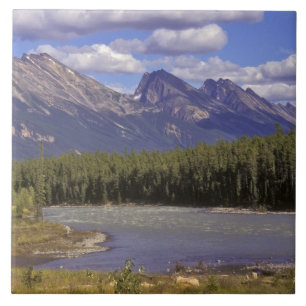 Canada, Alberta, Jasper National Park. Large Ceramic Tile