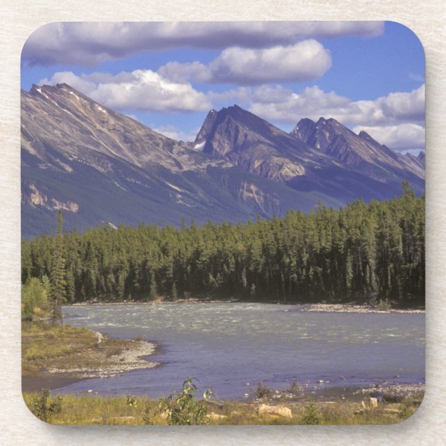 Canada, Alberta, Jasper National Park. Large Coaster (Front)