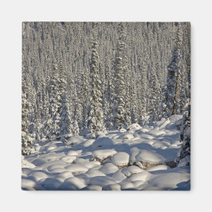 Canada, Alberta, Jasper National Park. Magnet