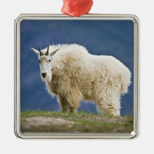 Canada, Alberta, Jasper National Park, Metal Ornament