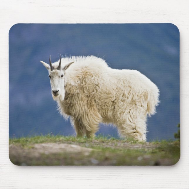 Canada, Alberta, Jasper National Park, Mouse Pad (Front)