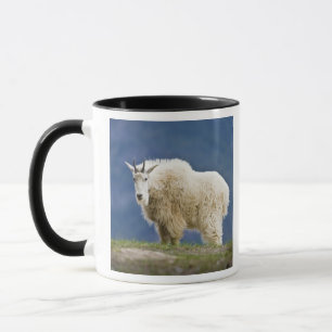 Canada, Alberta, Jasper National Park, Mug