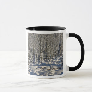 Canada, Alberta, Jasper National Park. Mug