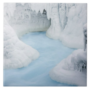 Canada, Alberta, Jasper National Park. The Ceramic Tile