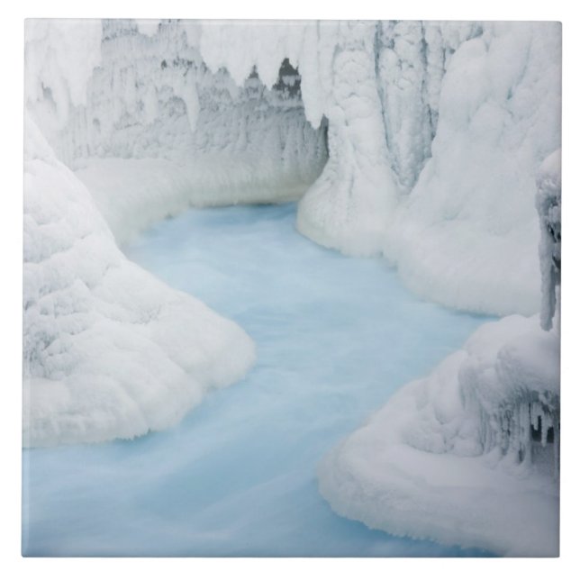 Canada, Alberta, Jasper National Park. The Ceramic Tile (Front)