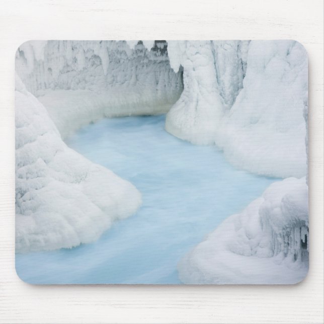 Canada, Alberta, Jasper National Park. The Mouse Pad (Front)