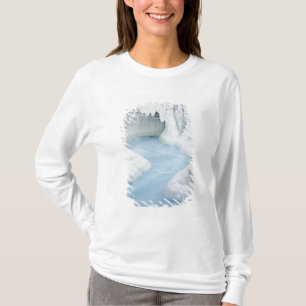 Canada, Alberta, Jasper National Park. The T-Shirt