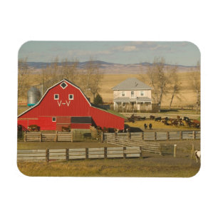 Canada, Alberta, Pincher Creek: Red Barn & Ranch Magnet