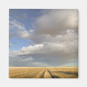 Canada, Alberta, Stand Off: Landscape with Magnet